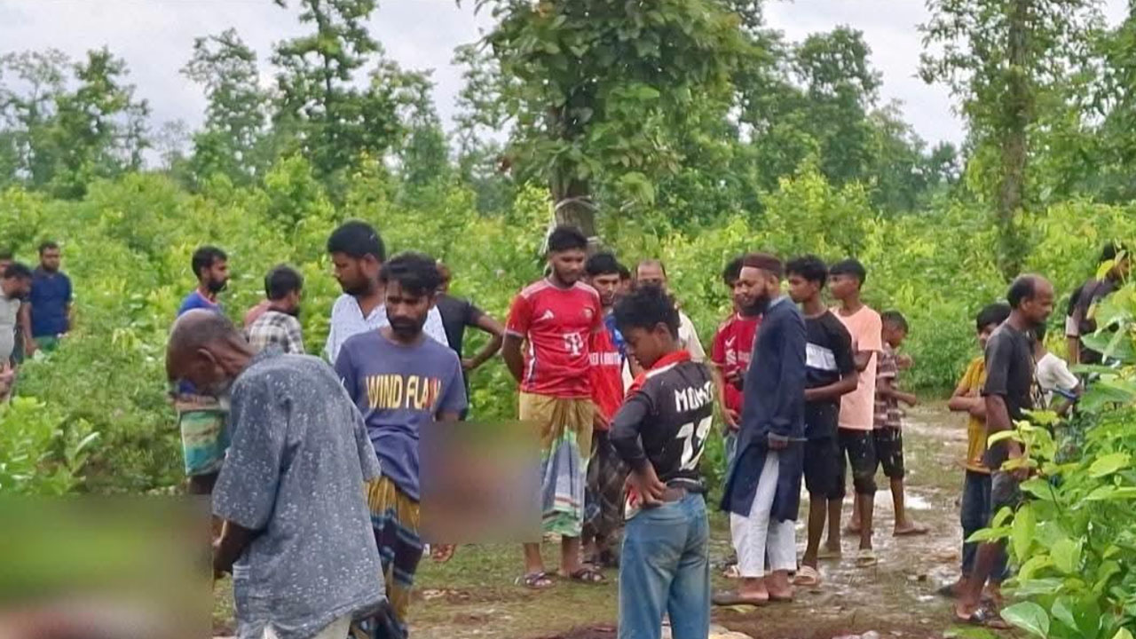 গভীর জঙ্গলে ১২ ঘোড়ার মাথা-চামড়া, মাংস নেই