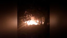 গাজীপুরে ঝুটের গোডাউনে আগুন, এক ঘণ্টা পর নিয়ন্ত্রণে
