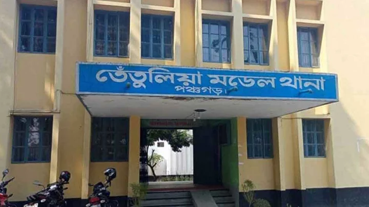তেঁতুলিয়ায় সাপের কামড়ে যুবকের মৃত্যু