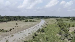 খরস্রোতা শোলমারী এখন মরা খাল, বিপন্ন কৃষি-জীবিকা