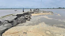 তিস্তার ভাঙনে বিলীন বাঁধের ৪০ মিটার, হুমকির মুখে ৬ গ্রাম