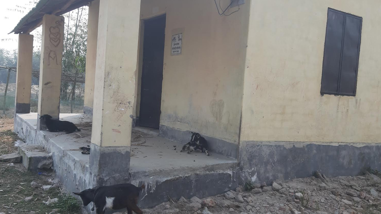 ছবি: এশিয়া পোস্ট