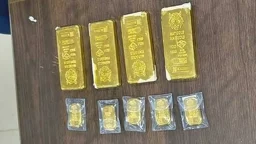 সাড়ে ৪ কেজি স্বর্ণসহ মালয়েশিয়া নাগরিক আটক