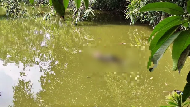 গাছের ডালে ফাঁস, নামাতে গিয়ে পুকুরে পড়ল লাশ