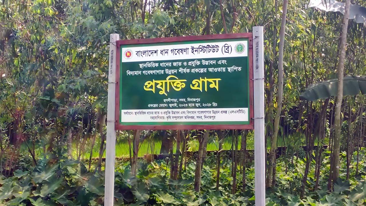 ছবি: এশিয়া পোস্ট