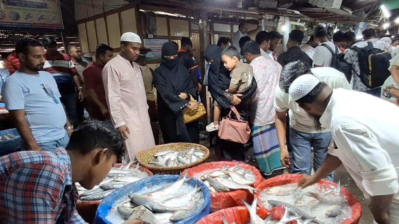 চাঁদপুরে ইলিশের দাম কমার খবরে ঘাটে ক্রেতাদের ভিড়