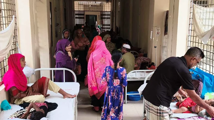 ডেঙ্গুর ‘হটস্পট’ পিরোজপুর, আট মাসে আক্রান্ত ১৮৫৯
