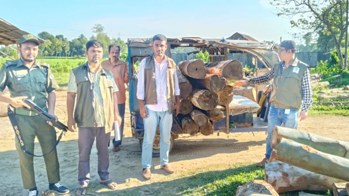 হবিগঞ্জে বন বিভাগের অভিযান, ৩৪ ঘনফুট অবৈধ কাঠ জব্দ