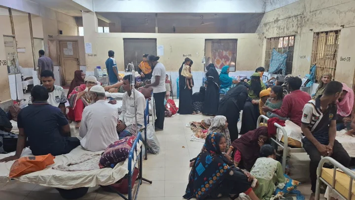 হবিগঞ্জে পাগলা কুকুরের কামড়ে আহত শতাধিক