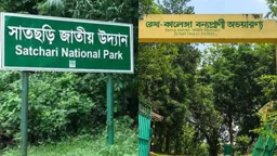 হবিগঞ্জে উদ্যান-বনাঞ্চলের গাছ চুরি মামলার আসামি রাজনৈতিক ব্যক্তিসহ ৬২ জন