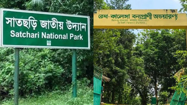 হবিগঞ্জে উদ্যান-বনাঞ্চলের গাছ চুরি মামলার আসামি রাজনৈতিক ব্যক্তিসহ ৬২ জন