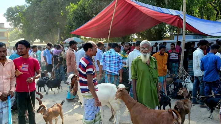 ১৫০ টাকার টোল ২৫০ টাকা, বিক্রেতাদেরও দিতে হয় চাঁদা