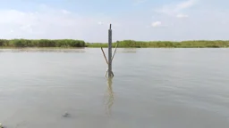 রাজবাড়ীতে পদ্মাসহ ৩ নদীতে বাড়ছে পানি