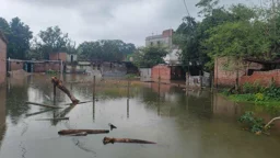 চাঁপাইনবাবগঞ্জে ২৪ ঘণ্টায় ১৮২ মিলিমিটার বৃষ্টিপাত রেকর্ড