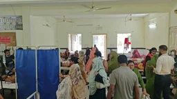 সাতক্ষীরায় বাড়ছে ডেঙ্গুর প্রকোপ, এক দিনেই হাসপাতালে ভর্তি ২৩ রোগী
