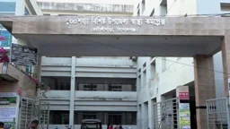 ফ্যানের সুইচ দিতে গিয়ে প্রাণ গেল গৃহবধূর