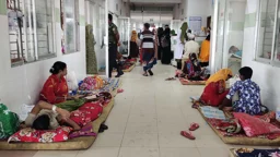 বরগুনায় চোখ রাঙাচ্ছে ডেঙ্গু, ২৫ দিনে আক্রান্ত ৫৫৬
