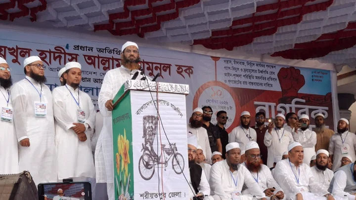 যেই ক্ষমতায় যায়, সেই হাসিনা হতে চায়: মামুনুল হক