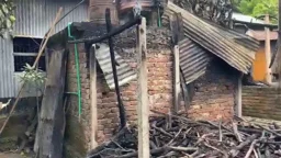 গাজীপুরে আগুনে পুড়ে ছাই দুই পরিবারের স্বপ্ন