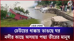 ঢেউয়ের ধাক্কায় ভাঙছে ঘর, নদীর কাছে অসহায় পদ্মা তীরের মানুষ