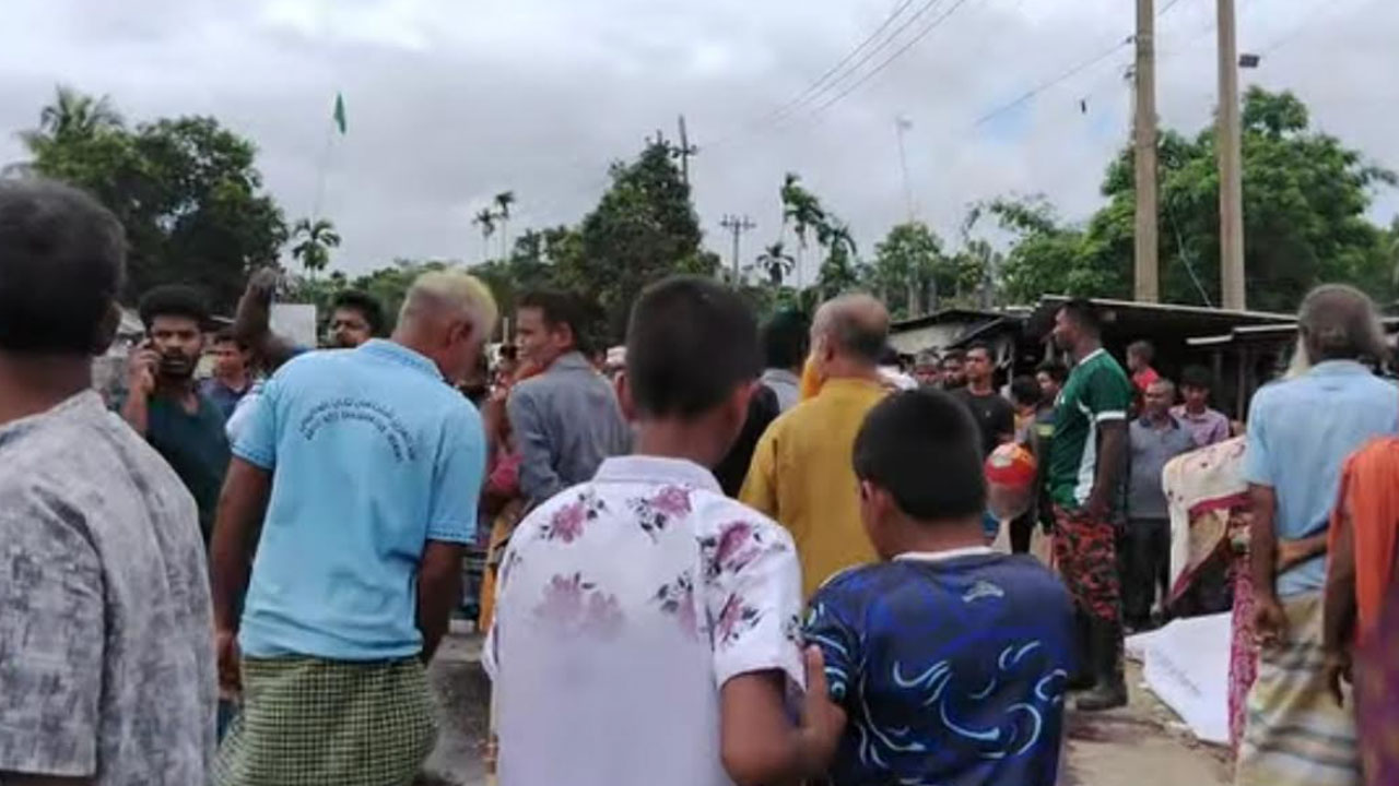কেনাকাটা করতে গিয়ে ট্রাকচাপায় ২ জনের মৃত্যু
