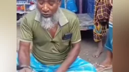 ৫০০ টাকার বাজিতে জীবন্ত শালিক ছিঁড়ে কাঁচা মাংস খেলেন, খুঁজছে পুলিশ
