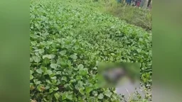 মাছ ধরতে নেমে শিশুদের সামনে ভেসে উঠল লাশ