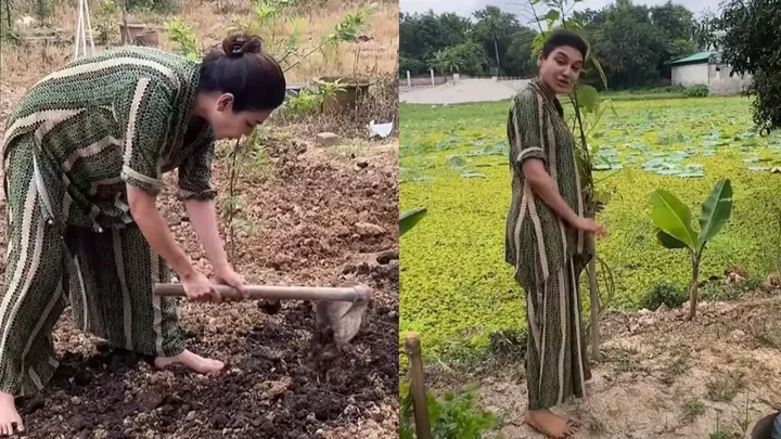 মেকআপহীন রূপে কৃষিকাজে জয়া আহসান
