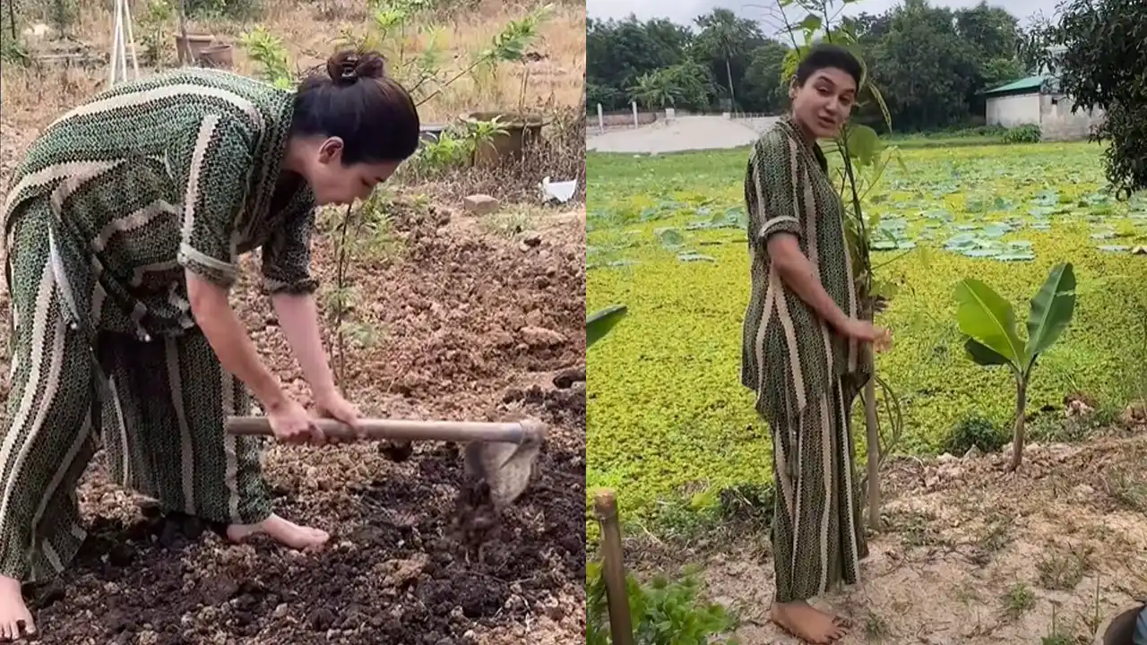 মেকআপহীন রূপে কৃষিকাজে জয়া আহসান