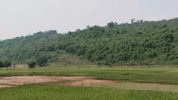 ভারতের কয়লা খনিতে মাটিচাপায় বাংলাদেশি শ্রমিকের মৃত্যু