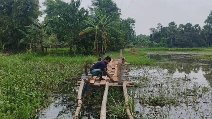 বন্যায় ভেঙেছে সড়ক, সুজনের ভরসা এখন সাঁকো