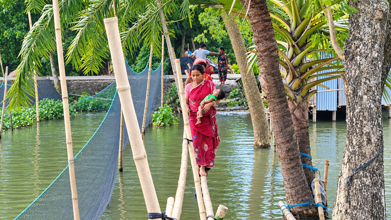 অভায়নগরে ডুমুরতলা গ্রামের গৃহবধূ শিবালী দাস বাচ্চা কোলে নিয়ে সাকো পার হচ্ছেন। ছবি: এশিয়া পোস্ট
