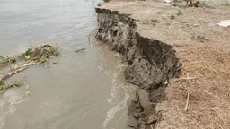 যমুনার ভাঙনে দুই শতাধিক বাড়িঘর বিলীন