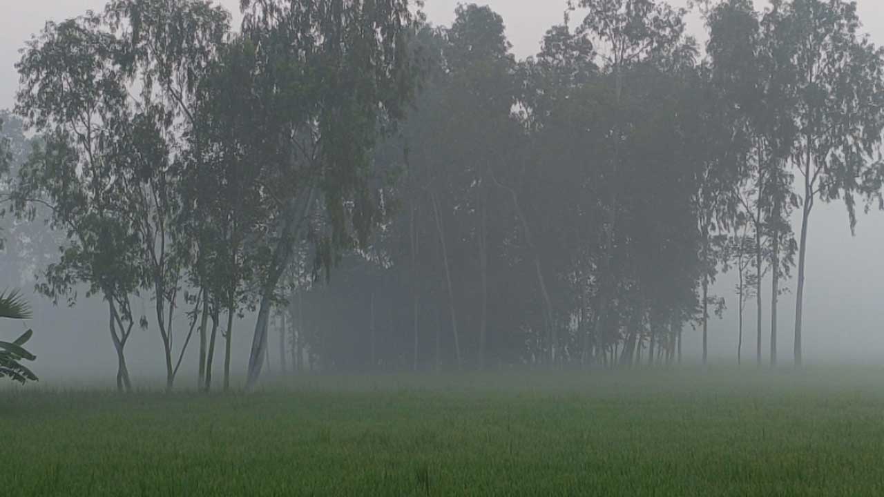 joypurhat-simanto