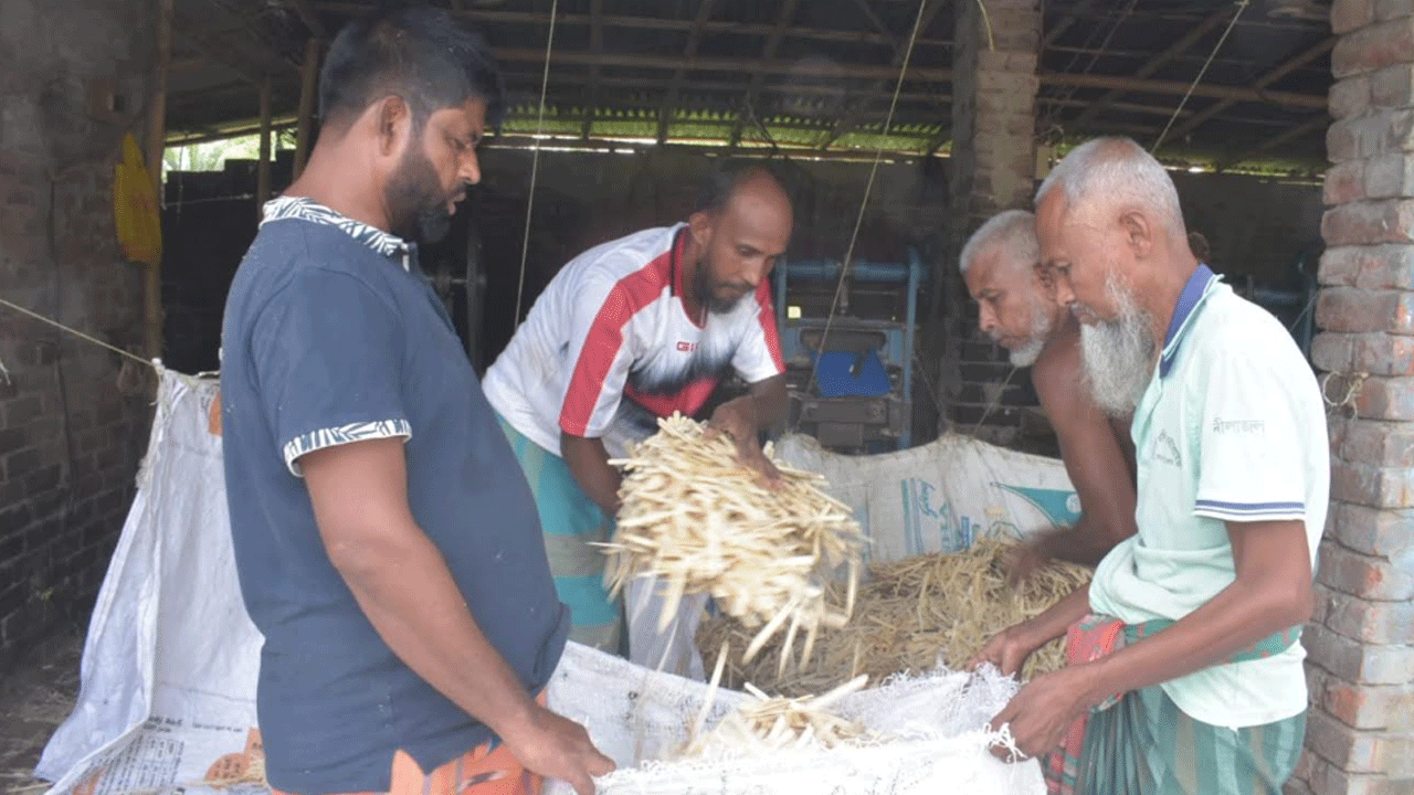 কারখানায় আইসক্রিমের কাঠি বস্তাবন্দী করার কাজে ব্যস্ত শ্রমিকেরা। ছবি: এশিয়া পোস্ট