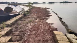 ফসল রক্ষা বাঁধের ব্লক উধাও, রাতের আঁধারে চলছে চুরি