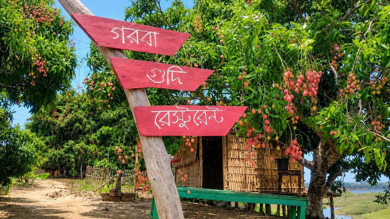 kaptai7