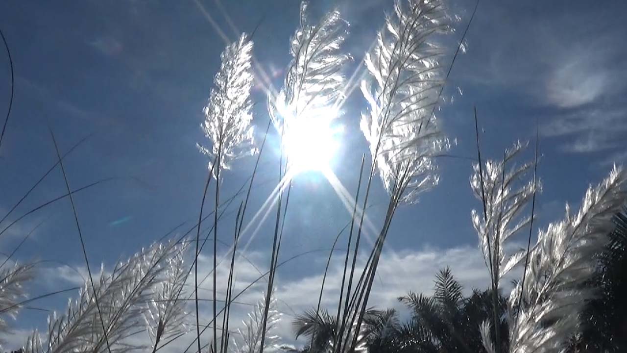 ছবি: এশিয়া পোস্ট