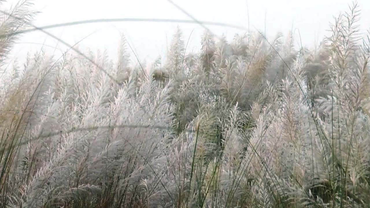 ছবি: এশিয়া পোস্ট