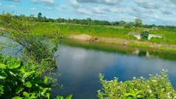 খালে পানি থাকলেও পৌঁছায় না জমিতে, বিপাকে হাজার হাজার কৃষক