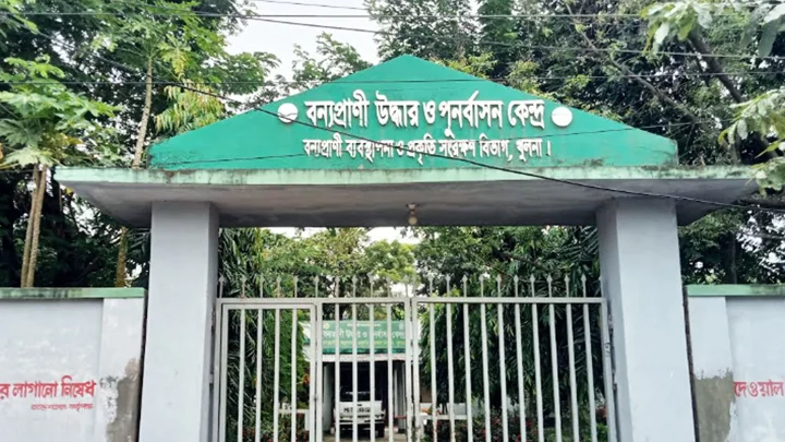 চিকিৎসক ছাড়াই চলছে বয়রা বন্যপ্রাণী কেন্দ্র, ঝুঁকিতে ২১ জেলার প্রাণীসেবা