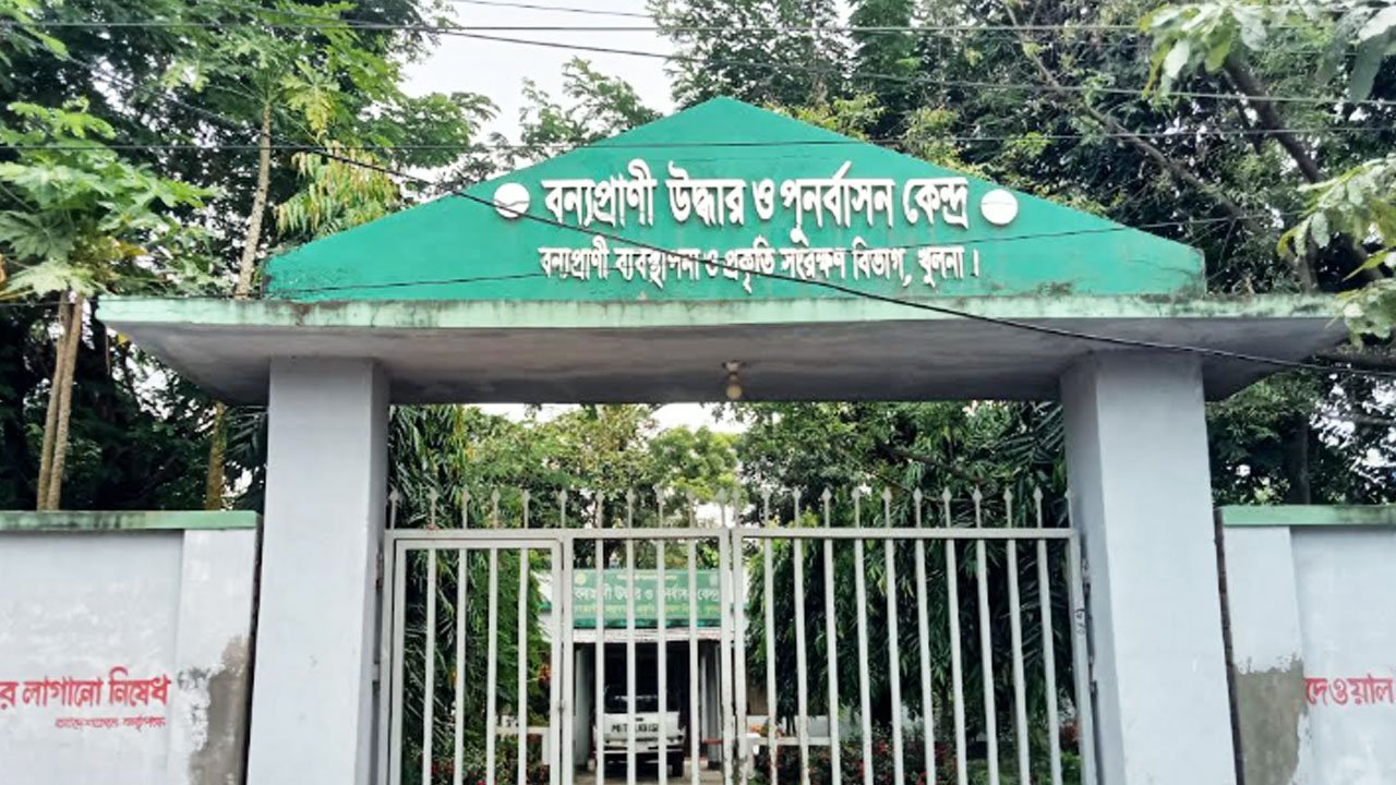 চিকিৎসক ছাড়াই চলছে বয়রা বন্যপ্রাণী কেন্দ্র, ঝুঁকিতে ২১ জেলার প্রাণীসেবা