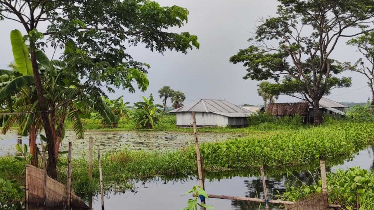 পাঁচ মাস ধরে পানিবন্দি বিল ডাকাতিয়ার অর্ধশত গ্রাম