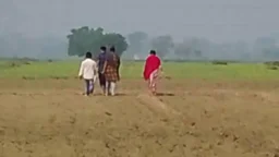 দৌলতপুর সীমান্তে চারজনকে পুশইনের চেষ্টা বিএসএফের, রুখে দিল বিজিবি