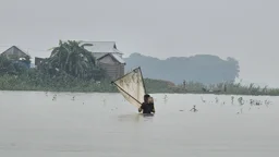 কিশোরগঞ্জে হাওরে মাছ ধরতে গিয়ে বজ্রাঘাতে চাচা-ভাতিজার মৃত্যু