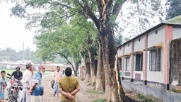 বজ্রপাতে স্কুলের পাশের গাছ ফেটে চৌচির, আহত ৭ শিক্ষার্থী