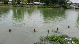 ভাগনিকে বাঁচাতে গিয়ে পানিতে তলিয়ে গেল খালাও