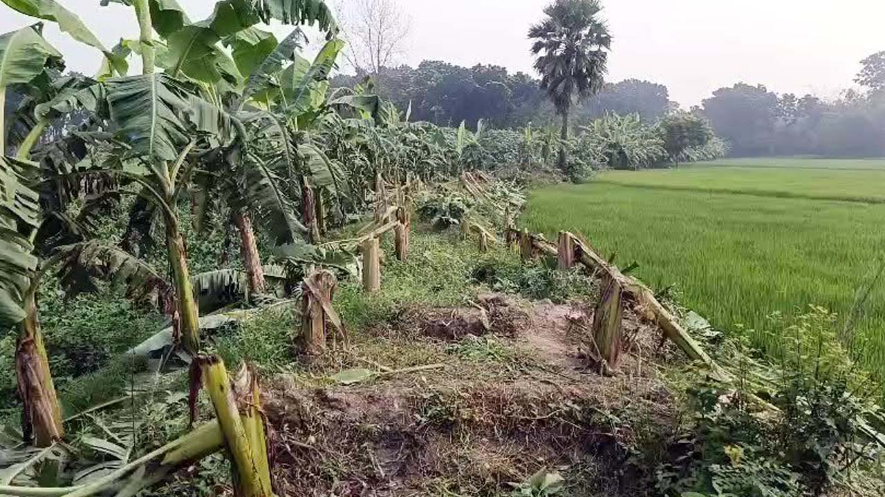ছবি: এশিয়া পোস্ট
