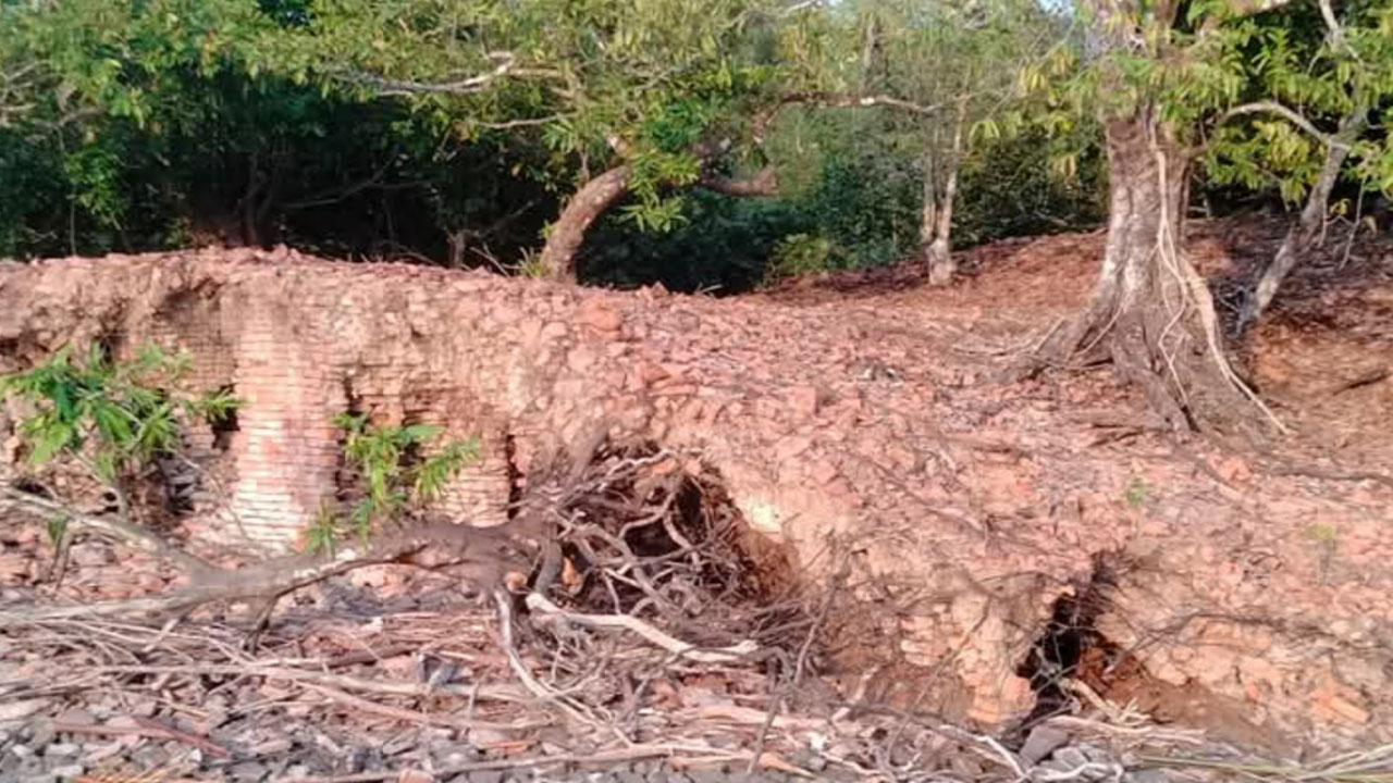 সুন্দরবনের শিবসা নদীর তীরে রাজা প্রতাপাদিত্যর প্রাচীণ দুর্গের ধ্বংসাবশেষ ও গাব বাগান। ছবি: এশিয়া পোস্ট