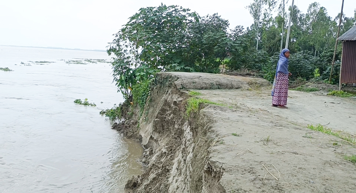 দুই মাসে ব্রহ্মপুত্র-দুধকুমারের ভাঙনে ভিটে হারাল ২৪০ পরিবার